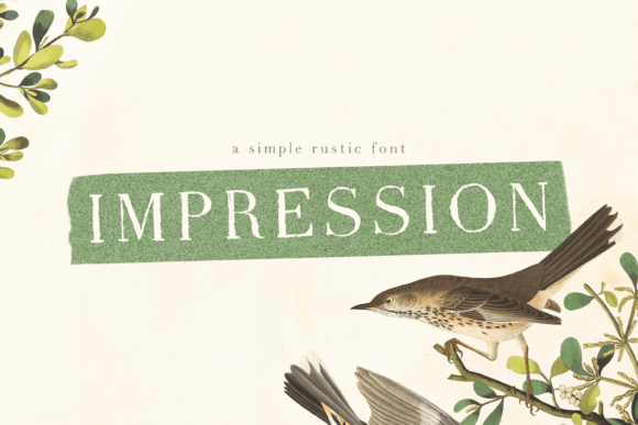 Impression Font: A Hand-Lettered Charm